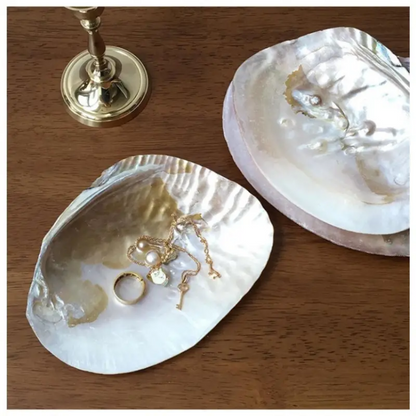 1pc Retro Natural Shell Plate Ornaments, Jewelry Dish Tray