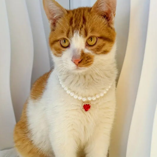 1pc Adorable White Pearl Pet Necklace